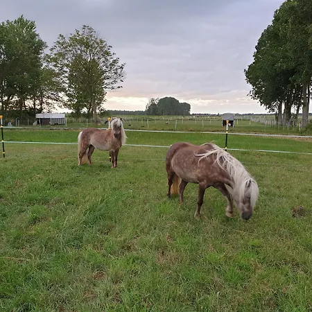 Sandwater Appartamento Ihlow (Aurich)