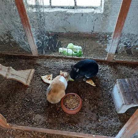 Sandwater Appartamento