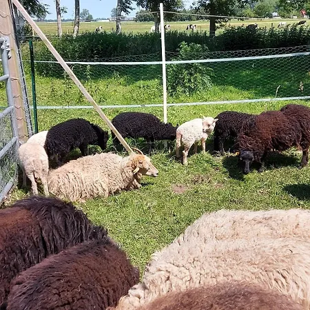 Appartamento Sandwater *